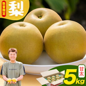 【ふるさと納税】【先行予約・数量限定】梨 約5kg 選べる品種 幸水 豊水 あきづき 甘太 石川梨・ぶどう園《8月上旬-10月上旬頃出荷》茨城県 結城市 梨 ナシ なし 果物 フルーツ 幸水 こうすい 豊水 ほうすい あきづき 甘太 かんた【配送不可地域あり】（離島）