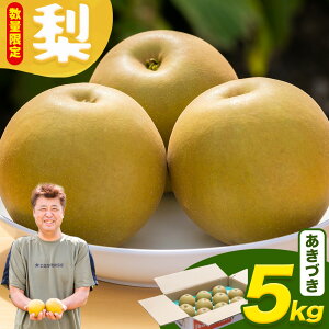 yӂ邳Ɣ[Łzys\Eʌz 5kg Iׂi K L Â Ñ ΐ엜EԂǂs8{-10{oׁt錧 s  iV Ȃ ʕ t[c K 