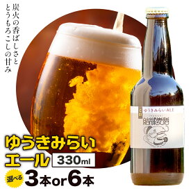【ふるさと納税】ビール ゆうきみらいエール 330ml × 3本 6本 株式会社結城麦酒《30日以内に出荷予定(土日祝除く)》茨城県 結城市 ビール 酒 エール クラフトビール 瓶 父の日 ギフト 詰め合わせ プレゼント ご当地ビール セット 国産