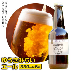 yӂ邳Ɣ[Łzr[ 䂤݂炢G[ 330ml × 3{ 6{ Ќ锞s30ȓɏoח\(yj)t錧 s r[  G[ Ntgr[ r hV̓ Y