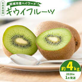 【ふるさと納税】選べる配送時期＞＞石井果樹園のキウイフルーツ 結城市産 ヘイワード 約4kg 選べる 出荷時期《出荷時期をお選びください》茨城県 結城市 キウイ きうい 果物 フルーツ 新鮮 国産 ギフト 送料無料