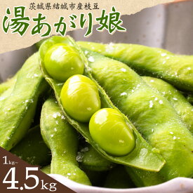 【ふるさと納税】枝豆 先行予約 えだまめ 「湯あがり娘」選べる 1kg 2.4kg（300g×8パック） 3kg 4.5kg （茶豆味）有限会社大嶋農園 《2026年7月中旬-8月上旬頃出荷》 えだまめ 野菜 国産 甘み 香り 濃厚 つまみ ビールのおつまみ ビールのつまみ 【配送不可地域あり】