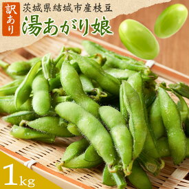 【ふるさと納税】 訳あり 枝豆 先行予約 えだまめ 「湯あがり娘」1kg 3kg 4.5kg （茶豆味） 茨城県結城市産 有限会社大嶋農園 《2026年7月中旬-8月上旬頃出荷》 野菜 国産 甘み 香り 濃厚 つまみ ビールのおつまみ ビールのつまみ 【配送不可地域あり】