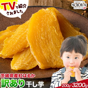 yӂ邳Ɣ[Łz 󂠂 錧Y g͂邩 ق ˓cX s90ȓɏoח\(yj)t  ܂ Tc}C ܈ َq XC[c  aَq 