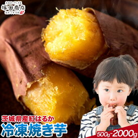 【ふるさと納税】冷凍焼き芋 500g 1000g 2000g 茨城県産 紅はるか ほしいも 塚田商店 《30日以内に出荷予定(土日祝除く)》焼き芋 さつまいも サツマイモ さつま芋 お菓子 スイーツ おやつ 和菓子