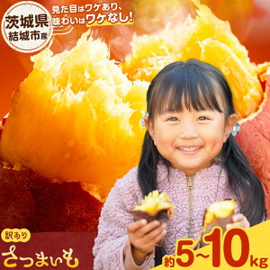 �y�ӂ邳�Ɣ[�Łz��錧�Y ���܂��� �������_�Ƃ̖󂠂肳�܂��� ��錧����s�Y �T�C�Y�s�I�� �i�킨�܂��� �I�ׂ� ��5kg ��10kg �s1����{-3����{���o�ׁt��錧 ����s ���ƒ�p ��