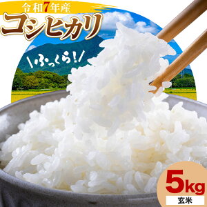 yӂ邳Ɣ[Łz ߘa7NY Ђ RVqJ   5kg AbV[X Ѓ}iJs30ȓɏoח\(yjjt錧 s    S{ 