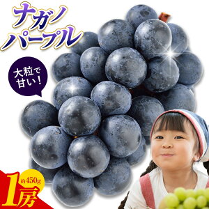 yӂ邳Ɣ[ŁzԂǂ iKmp[v 1[ 450g Ѓ}iJs8{-9{oׁt錧 s AbV[X ȂԂǂ ˂Ȃ 炲ƐHׂ t[c { ʕ ① 