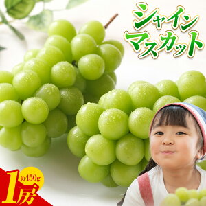 yӂ邳Ɣ[ŁzԂǂ VC}XJbg 1[ 450g Ѓ}iJs8{-9{oׁt錧 s AbV[X t[c { VC }XJbg ʕ ① 