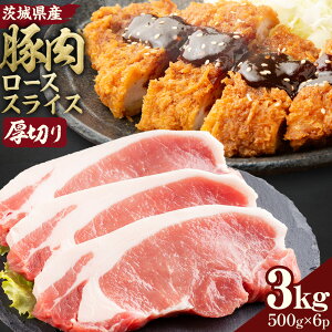 yӂ邳Ɣ[Łz錧Y ؓ [X XCX ؂ Iׂ e 500g 1kg 2kg 3kg 1pbN 500g ЃZgt[h s30ȓɏoח\(yj)t ؓ [X Y XC
