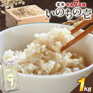 yӂ邳Ɣ[Łz ߘa7NY ̂̈ 1kg sY 낤X s30ȓɏoח\(yjjt錧 s    R  嗱 ٓ ɂ