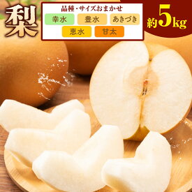 【ふるさと納税】梨 5kg 品種・サイズおまかせ 中島農園《8月上旬-9月末頃出荷予定》茨城県 結城市 フルーツ 旬 果物 幸水 豊水 あきづき 恵水 甘太 など から ランダム【配送不可地域あり】(沖縄・離島)