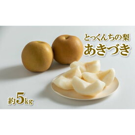 【ふるさと納税】【2024年先行予約】とっくんちの梨「あきづき」約5kg 9月中旬以降発送 数量限定　【 果物 フルーツ 甘み ジューシー 爽やかな 季節 コク 果肉 果汁 たっぷり 酸味 かけ合わせ 】　お届け：2024年9月中旬～9月下旬まで