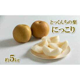 【ふるさと納税】【2024年先行予約】とっくんちの梨「にっこり」約5kg 9月下旬以降発送 数量限定　【 果物 フルーツ 甘み ジューシー 爽やかな 季節 コク 果肉 果汁 たっぷり 酸味 かけ合わせ 】　お届け：2024年9月下旬～10月中旬まで