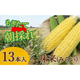 【ふるさと納税】【発送日指定】トウモロコシ　味来「夏祭り」（13本）約5kg ※6/18（火）発送　【 野菜 甘味が強い 柔らかい ジューシー フルーティー 夏野菜 コーン 】　お届け：2024年6月18日～2024年6月18日