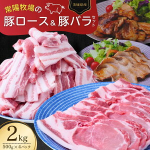 yӂ邳Ɣ[Łz̈錧Y ؃[XƓ؃õZbg ēp 2kg | Y o o [X [X ؃[X  ؓ ē o[xL[ Ԃ  ɂ  |[N 