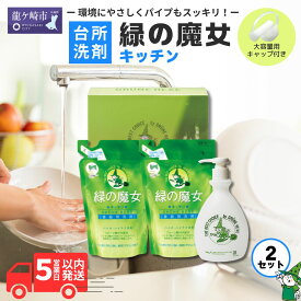 【ふるさと納税】緑の魔女キッチン お試しセット×2 (詰替360ml2袋 ポンプボトル1本) | 茨城県 龍ケ崎市 洗剤 植物性 食器洗い パイプクリーナー 詰まり 臭い ニオイ 排水溝 環境配慮 キッチン 詰め替え 手肌 優しい 汚れに強い お中元 お歳暮 ギフト 母の日 大掃除 1208808