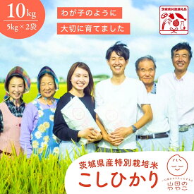 【ふるさと納税】コシヒカリ 10kg 特別栽培米『山田のややこ』 令和7年産 【茨城県共通返礼品・河内町産】 | コシヒカリ こしひかり 米 お米 白米 精米 特別栽培米 ごはん コシヒカリ 特別栽培認証 減農薬 農家直送 国産 ふっくら 艶やか 茨城県 龍ケ崎市
