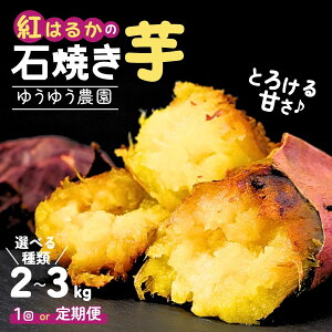yӂ邳Ɣ[Łz󂠂 ⓀΏĂ Iׂe2kg`3kg 䂤䂤_ | 󂠂 Ĉ Ă ₫ ܂ Tc}C g͂邩 |eg XC[g|eg  ˂Ƃ  XC[c 