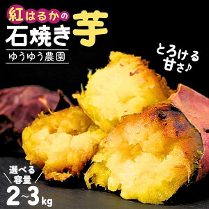 yӂ邳Ɣ[Łz󂠂 ⓀΏĂ Iׂe2kg`3kg 䂤䂤_ | 󂠂 Ĉ Ă ₫ ܂ Tc}C g͂邩 |eg XC[g|eg  ˂Ƃ  XC[c 