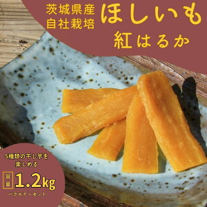 yӂ邳Ɣ[Łzg͂邩1.2kg(oGeBZbg)Rĉ₱ -̂- | 錧 P XC[c _CGbg  ق F v[g Y Y g͂邩 ܂ 