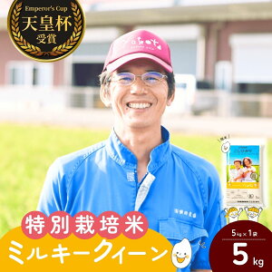 �y�ӂ邳�Ɣ[�Łz[�ߘa7�N�Y]���c�_��̓��ʍ͔|�ă~���L�[�N�C�[�� 5kg | �~���L�[�N�C�[�� �݂邫�[�����[�� ���� �� ���� ���� ���� �V�� ���ʍ͔|�� ��߂Ă��������� �������� ������� 