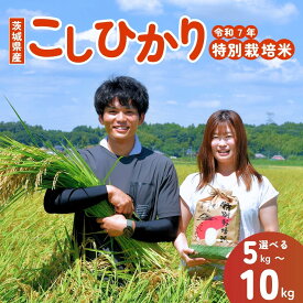 【ふるさと納税】【令和7年度新米】龍ケ崎のこだわり 特別栽培米 コシヒカリ 選べる5kg〜10kg ? こしひかり お米 米 こめ 白米 精米 新米 冷めてもおいしい 美味しい こだわり おにぎり 茨城県 龍ケ崎市産