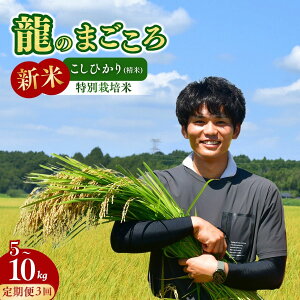 �y�ӂ邳�Ɣ[�Łz��3��������ց��y�ߘa7�N�x�V�āz���P��̂������ ���ʍ͔|�� �R�V�q�J�� �I�ׂ�5�`10kg(5kg×2��) | �����Ђ��� ���� �� ���� ���� ���� �V�� ��߂Ă��������� �������� ��