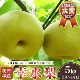 【ふるさと納税】 梨 幸水 幸水梨 和梨 約5kg 先行予約 こうすい 果物 くだもの フルーツ 国産 季節限定 人気 贈り物 お取り寄せ デザート 2026年 先行予約 茨城県産「幸水梨」約5kg【2026年7月下旬～8月中旬にかけて発送予定】