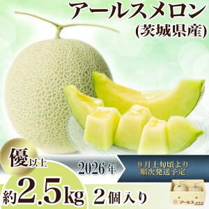 �y�ӂ邳�Ɣ[�Łz2026��s�\�� �ʕ� ������ �A�[���X�������i�}�X�N�������j ��錧 ��錧�Y �{ �t���[�c �������� �}�X�N������ ��錧�Y�A�[���X��������2.5kg�i2�j�y2026�N9����{�`10��