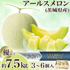 �y�ӂ邳�Ɣ[�Łz2026��s�\�� �ʕ� ������ �A�[���X�������i�}�X�N�������j ��錧 ��錧�Y �{ �t���[�c �������� �}�X�N������ ��錧�Y�A�[���X��������7.5kg�i3�`6�j�y2026�N9����{�`10