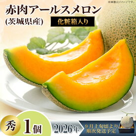 【ふるさと納税】2026先行予約 果物 メロン アールスメロン（マスクメロン） 秀品 茨城県 茨城県産 旬 フルーツ くだもの マスクメロン 茨城県産アールスメロン「赤」【秀品】1個【2026年9月上旬～10月上旬ごろ発送予定】