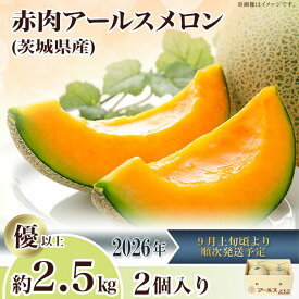 【ふるさと納税】2026先行予約 果物 メロン アールスメロン（マスクメロン） 茨城県 茨城県産 旬 フルーツ くだもの マスクメロン 10000円 1万円 茨城県産アールスメロン「赤」約2.5kg（2個）【2026年9月上旬～10月上旬ごろ発送予定】