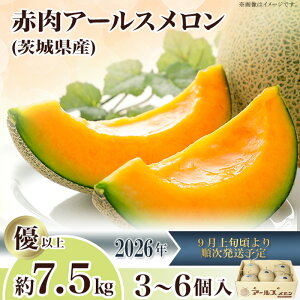 �y�ӂ邳�Ɣ[�Łz2026��s�\�� �ʕ� ������ �A�[���X�������i�}�X�N�������j ��錧 ��錧�Y �{ �t���[�c �������� �}�X�N������ ��錧�Y�A�[���X�������u�ԁv��7.5kg�i3�`6�j�y2026�N9��