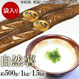 【ふるさと納税】自然薯 約500g / 1kg / 1.5kg 山芋 やまいも とろろ 人気 おすすめ 自然薯 ごはん 米 蕎麦 【 容量が選べる 】自然薯 約500g / 1kg / 1.5kg ( カット済 )【 ※ 重量に合わせてお届け 】【 2025年12月～2026年3月ごろ発送予定 】