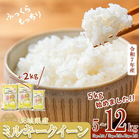 【ふるさと納税】5kg換算8333円！期間限定 2万円/12kg【 容量・単品・定期便・出荷月が選べる 】 令和7年産 茨城県産 ミルキークイーン 5kg ( 5kg × 1袋 ) / 12kg (5kg×2袋＋2kg×1袋)【 米 お米 白米 茨城県産 ごはん こめ 国産 もっちり 5kg 12kg 10kg 5kg 2kg コスパ 】