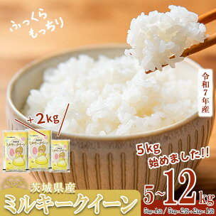 【期間限定価格】5kg8000登場！期間限定 5kg換算8...
