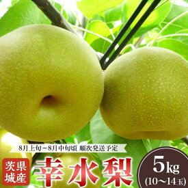 【ふるさと納税】幸水梨 約5kg 2026年 先行予約 こうすい 果物 くだもの フルーツ 国産 季節限定 人気 贈り物 お取り寄せ デザート 2026年先行予約 茨城県産「幸水梨」約5kg【2026年8月上旬～8月中旬にかけて発送予定】
