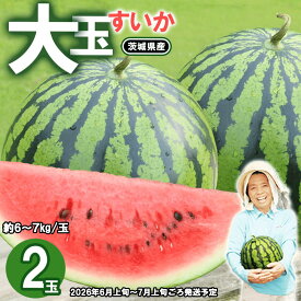 【ふるさと納税】茨城県産大玉すいか2玉セット（約6～7kg/玉）先行予約【2026年6月上旬～7月上旬ごろ発送予定】おすすめ 茨城県産 人気 フルーツ 果物 くだもの スイカ 西瓜