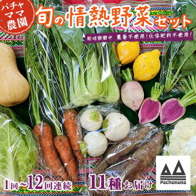 【ふるさと納税】【選べるお届け回数】農園自慢の情熱野菜セット（11品）【定期便 野菜 詰め合わせ お任せ 季節物 セット 山芋 パセリ かぶ 人参 たまねぎ 玉ねぎ ほうれん草 大根 レタス じゃがいも さつまいも とうもろこし キャベツ ピーマン なすトマト かぼちゃ】