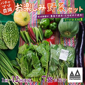 【ふるさと納税】【 選べる お届け回数 】【 訳あり 】お楽しみ野菜セット （ 7袋 ）【 フードロス対策 】【 定期便 野菜 詰め合わせ お任せ 訳あり フードロス 季節物 セット 山芋 パセリ かぶ 人参 里芋 たまねぎ 玉ねぎ ルッコラ ほうれん草 春菊 大根 パチャママ 】