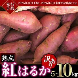 【ふるさと納税】【訳あり】茨城県産熟成さつまいも「紅はるか」5kg~10kg【2025年11月下旬頃～2026年2月末までに出荷予定】【さつまいも 紅はるか 芋 サツマイモ 甘い 焼き芋 スイートポテト 茨城県産 大容量 不揃い ねっとり】