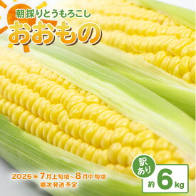 【ふるさと納税】【訳あり】下妻産朝採りとうもろこし（おおもの）約6kg【先行予約 2026年7月上旬～8月中旬ころ順次発送予定】
