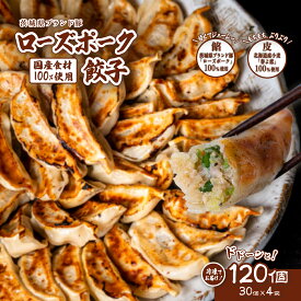 【ふるさと納税】餃子 ぎょうざ ギョウザ ギョーザ チャオズ 茨城県産 ローズポーク 豚 豚肉 キャベツ 北海道産 小麦 春よ恋 使用 10000円 1万円 【国産素材100%】ローズポーク餃子 ドドーンと 120個 (冷凍 30個 × 4袋 )