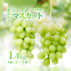 yӂ邳Ɣ[Łzy󂠂zVC}XJbg1.4kgi2[~5[jy󂠂 킯 s t[c ʕ Ԃǂ uhE  VC }XJbg 錧Y Â 炲 W[V[ Ȃ