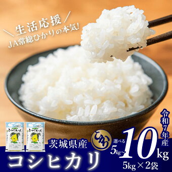 【ふるさと納税】【1月1日~寄付額改定】高評価★4.73 総合1位 北海道産 新物 いくら 醤油漬け
