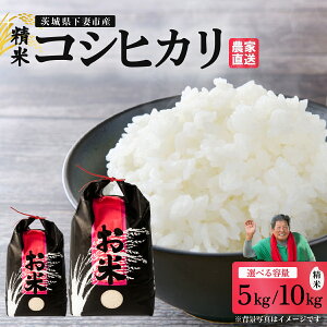 �y�ӂ邳�Ɣ[�Łz���� �R�V�q�J���u5kg / 10kg�v����I�ׂ� ��錧���Ȏs�Y �y �� ���� ���� ���͂� ���� �R�V�q�J�� �ߘa7�N�Y ��錧�Y �z