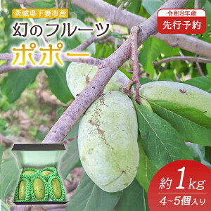 yӂ邳Ɣ[Łz||[ 1kg 4`5 ʕ t[c ʎ ̉ʕ ̃t[c XC[c Â X̃JX^[hN[ N[~[ ys\z ̃t[c ||[ 1kg 4~5y 2026N8