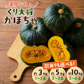 【ふるさと納税】訳あり かぼちゃ くり大将 《訳あり/正規品・容量が選べる！》訳あり 茨城県産 くり大将 約3kg (1玉〜3玉) / 約5kg (2玉〜3玉) / 約10kg (5玉〜6玉) 【茨城県 下妻市産 かぼちゃ カボチャ 南瓜 くり大将 くりたいしょう 旬野菜 季節の野菜 甘い おすすめ】
