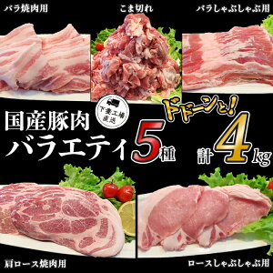 yӂ邳Ɣ[Łz ؓ Y  Ⓚ ^ 5 4kg y Zbg ܐ؂ [X o Ԃ ē ؂藎Ƃ  R} ֗ 57-3YؓoGeB5Zbg4kgi^